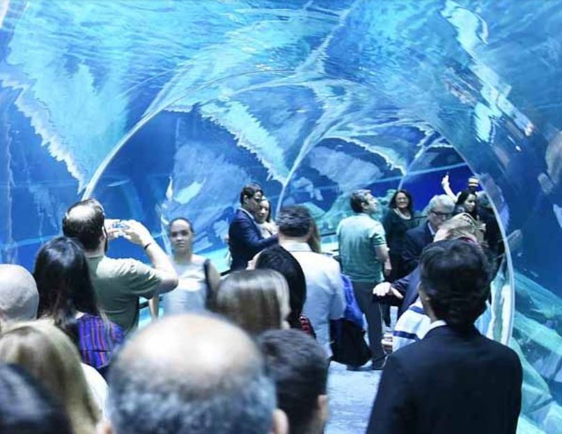 Turistas no túnel do AquaRio